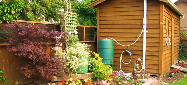 Rain Barrel Garden