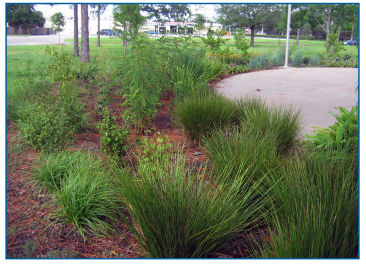 Rain gardens or bioretention areas are designed to capture stormwater runoff, filter it through a special media and allow it to infiltrate, evapotranspire or flow out. Rain gardens consist of excavated basins equipped with a perforated pie underdrain. The underdrain is covered by a special soil- compost media in which specific vegetation is planted.
